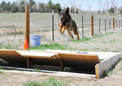 Файл:Мондьоринг прыжки.jpg