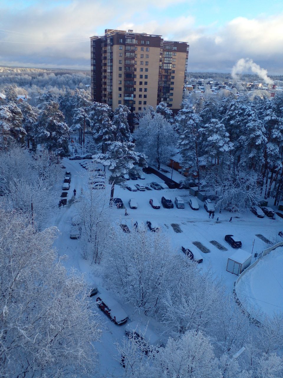 Photo 2025-01-01 14-54-10.jpg