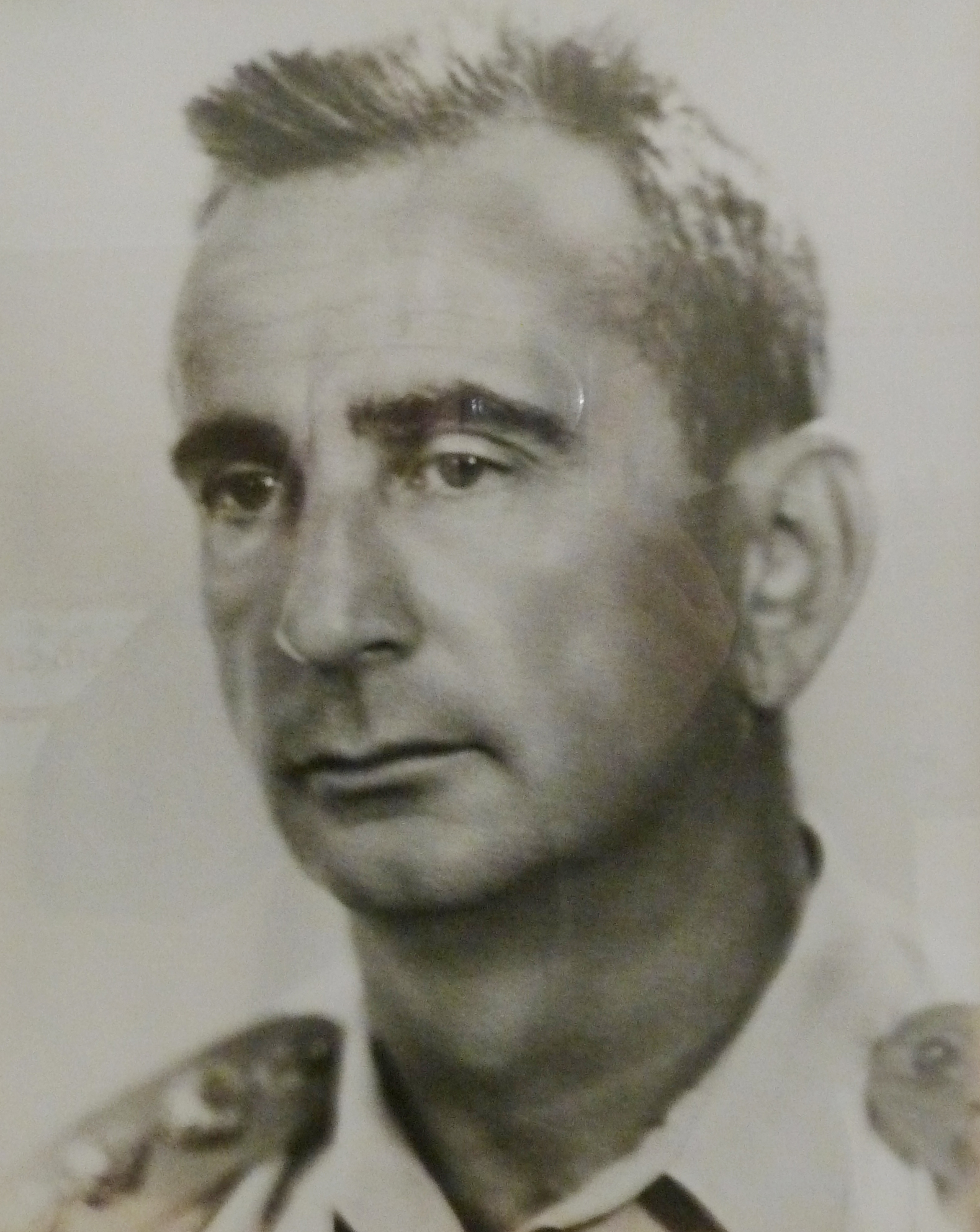 2122חנן דשא.jpg