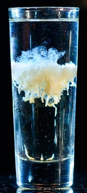 Медуза (коктейль) 1.jpg