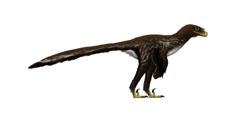 Tumblr inline osvy0rmA7h1rx4yme 500.png