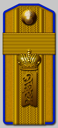 Подпрапорщик на должности фельдфебеля, 5-й гренадерский Киевский Наследника Цесаревича полк