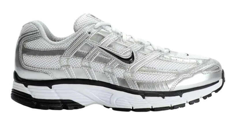 Nike Air Pegasus 2006.png