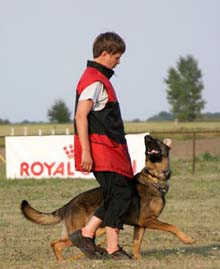 Файл:Движение рядом IPO.jpg