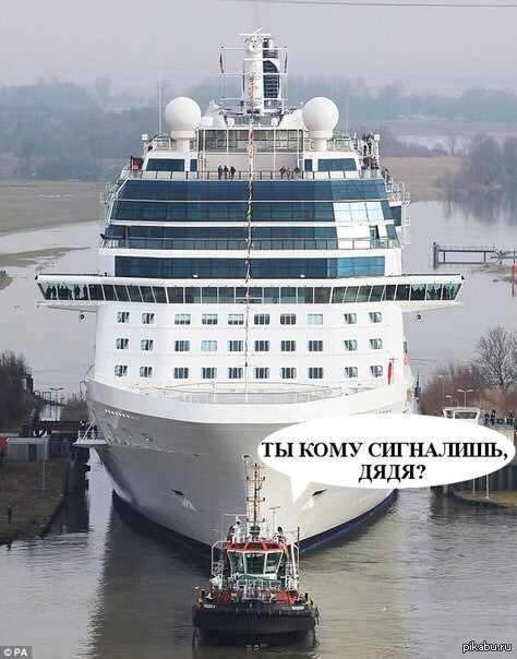 1369846434 916233725.jpg