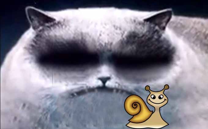 Раннее утро, вползает Улиточка, пора спать