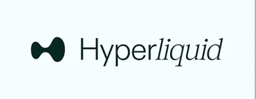 Файл:13-02 Hyperliquid логотип.jpg