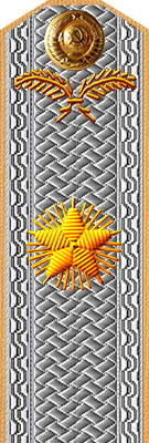 Чрезвычайный и полномочный посол