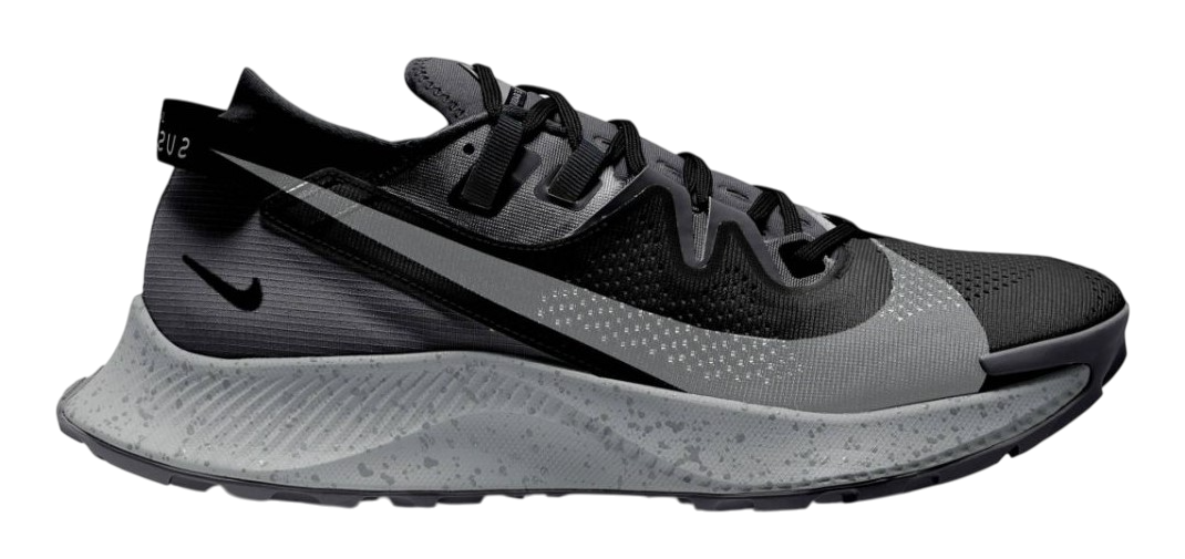 Nike Pegasus Trail 2.png