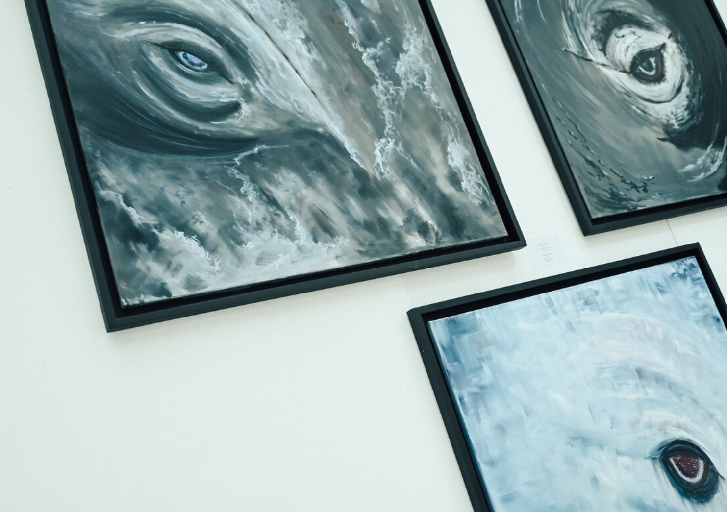 Выставка 3.png