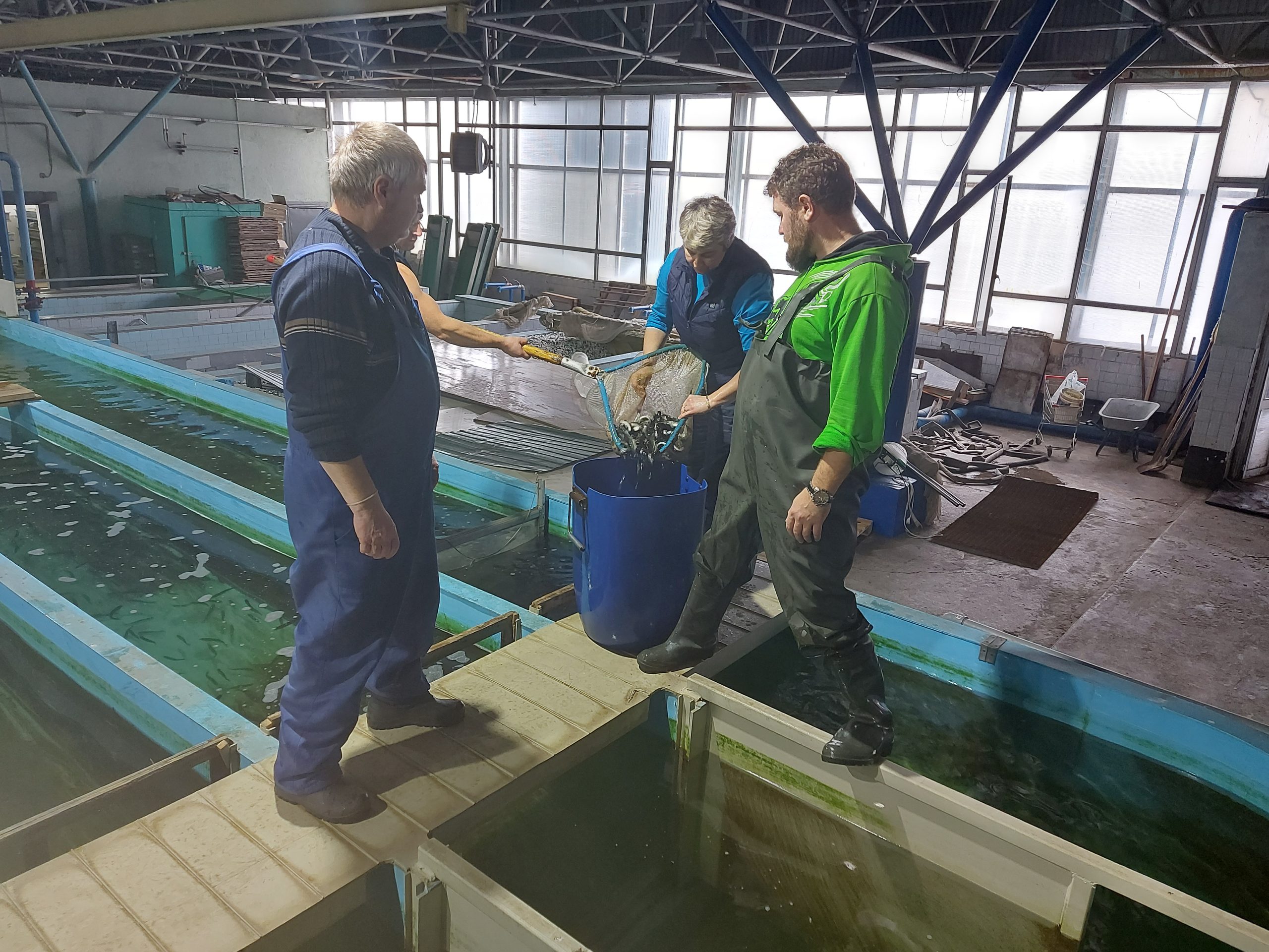 ФСГЦР филиал ФГБУ «Главрыбвод»1.jpg