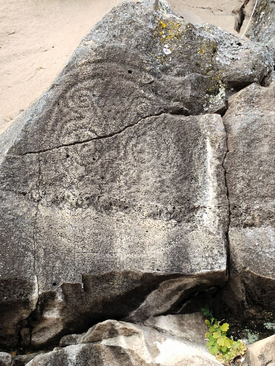 Файл:Tiger head entwined with a snake.jpg