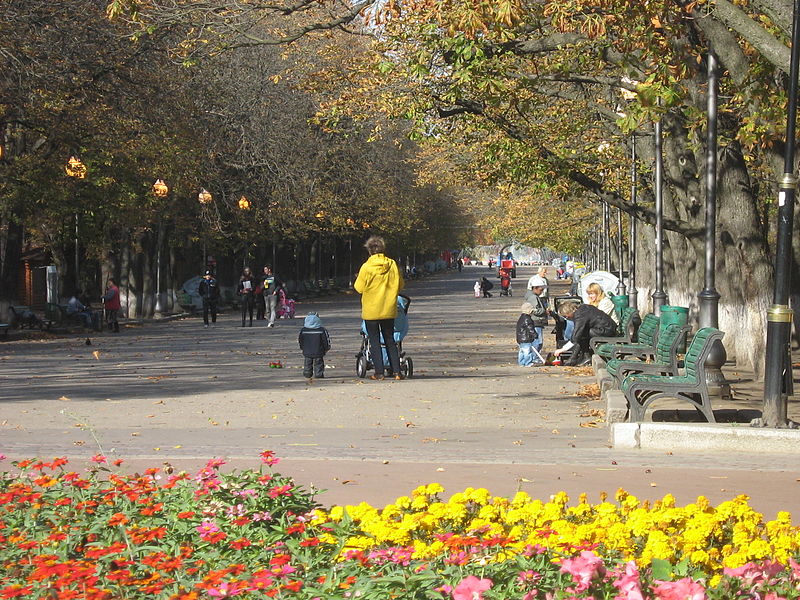 Центральная аллея