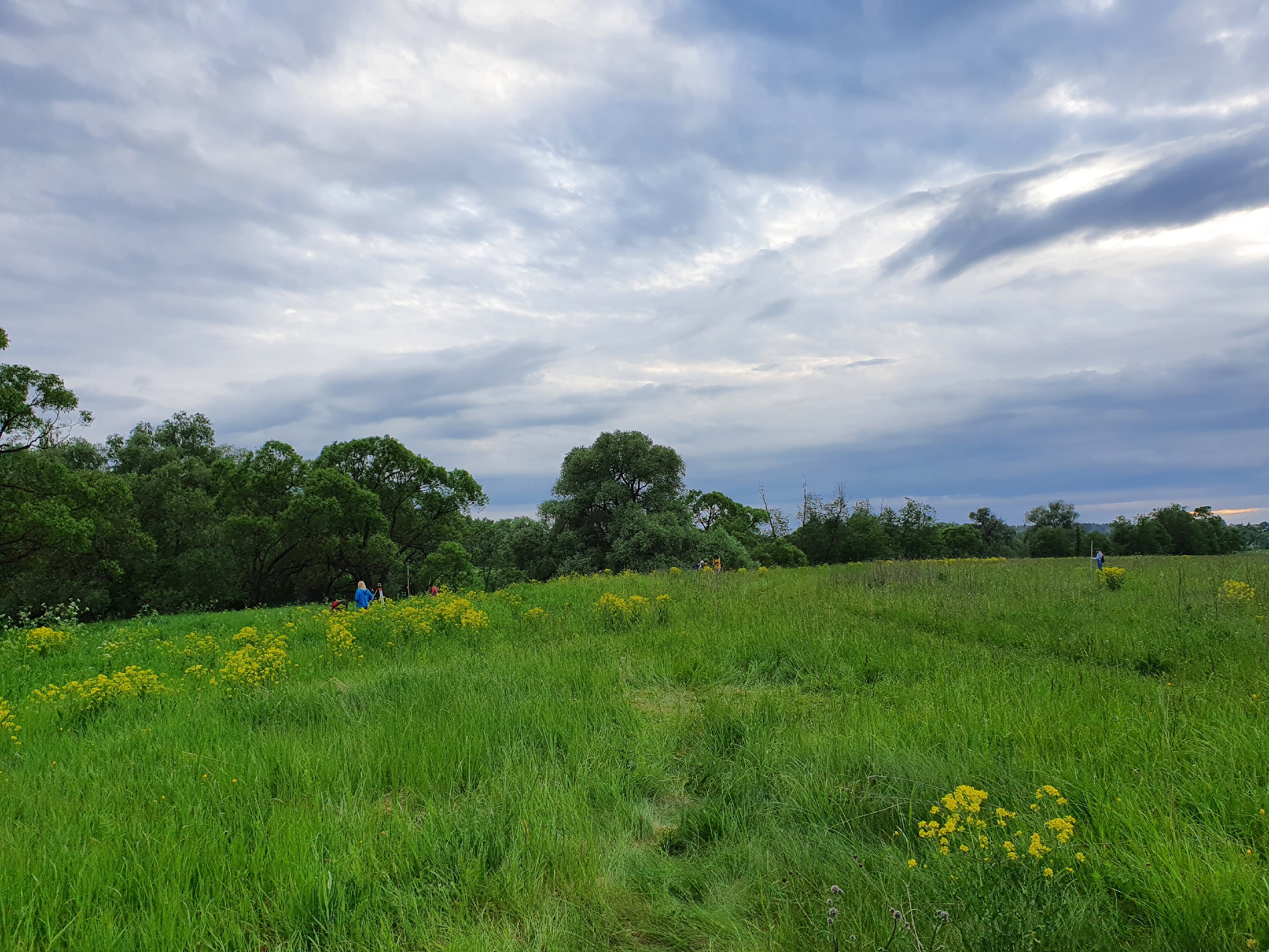 Студенты первокурсники на полевых замерах.jpg