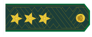 генерал-полковник таможенной службы