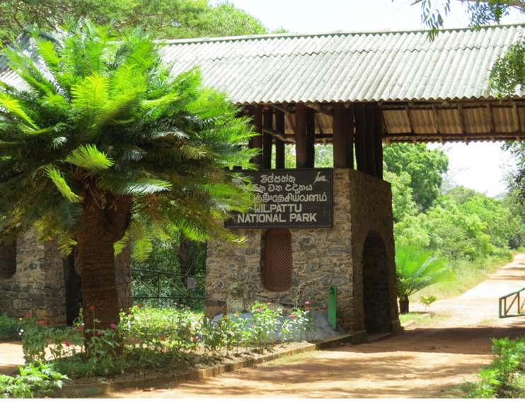 Вилпатту. Шри-Ланка. Самым древний заповедник в мире