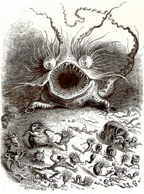 ...является единственной, в основу которой легла иллюстрация Гранвилля из «Сцен из частой жизни животных»