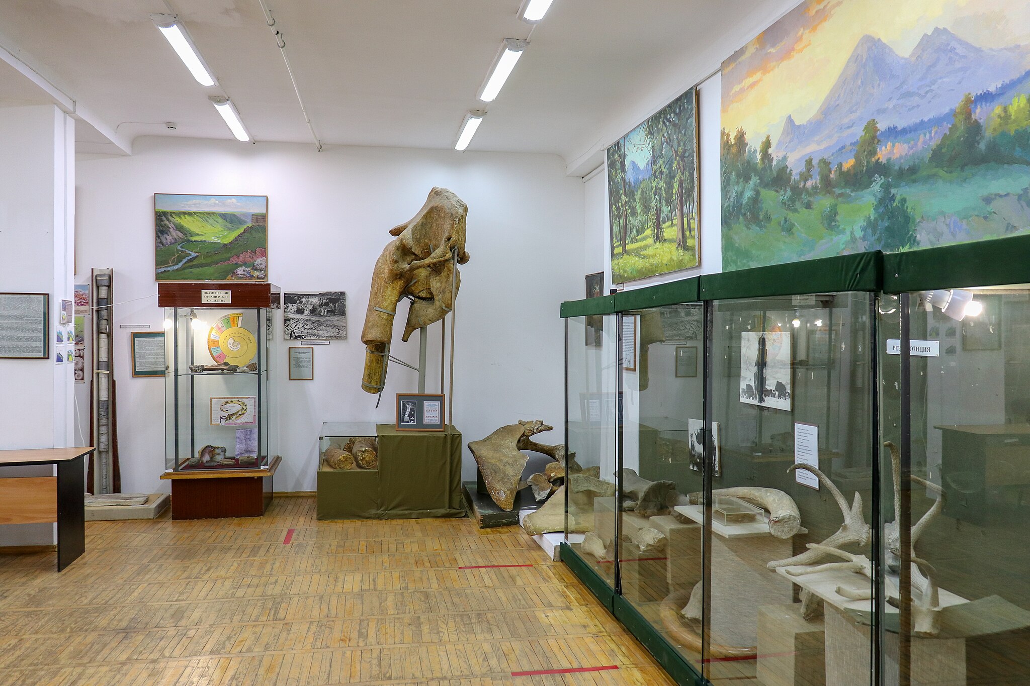 В Пятигорском краеведческом музее