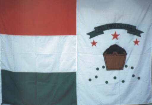 Флаг населённого пункта Риу-Пирасикаба