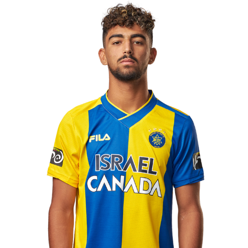 Файл:רוי רביבו פרופיל.PNG