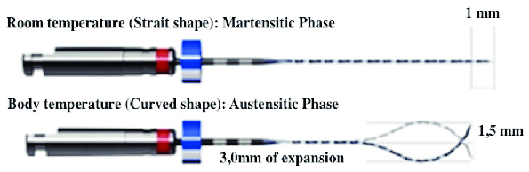 XP-endo Finisher.png