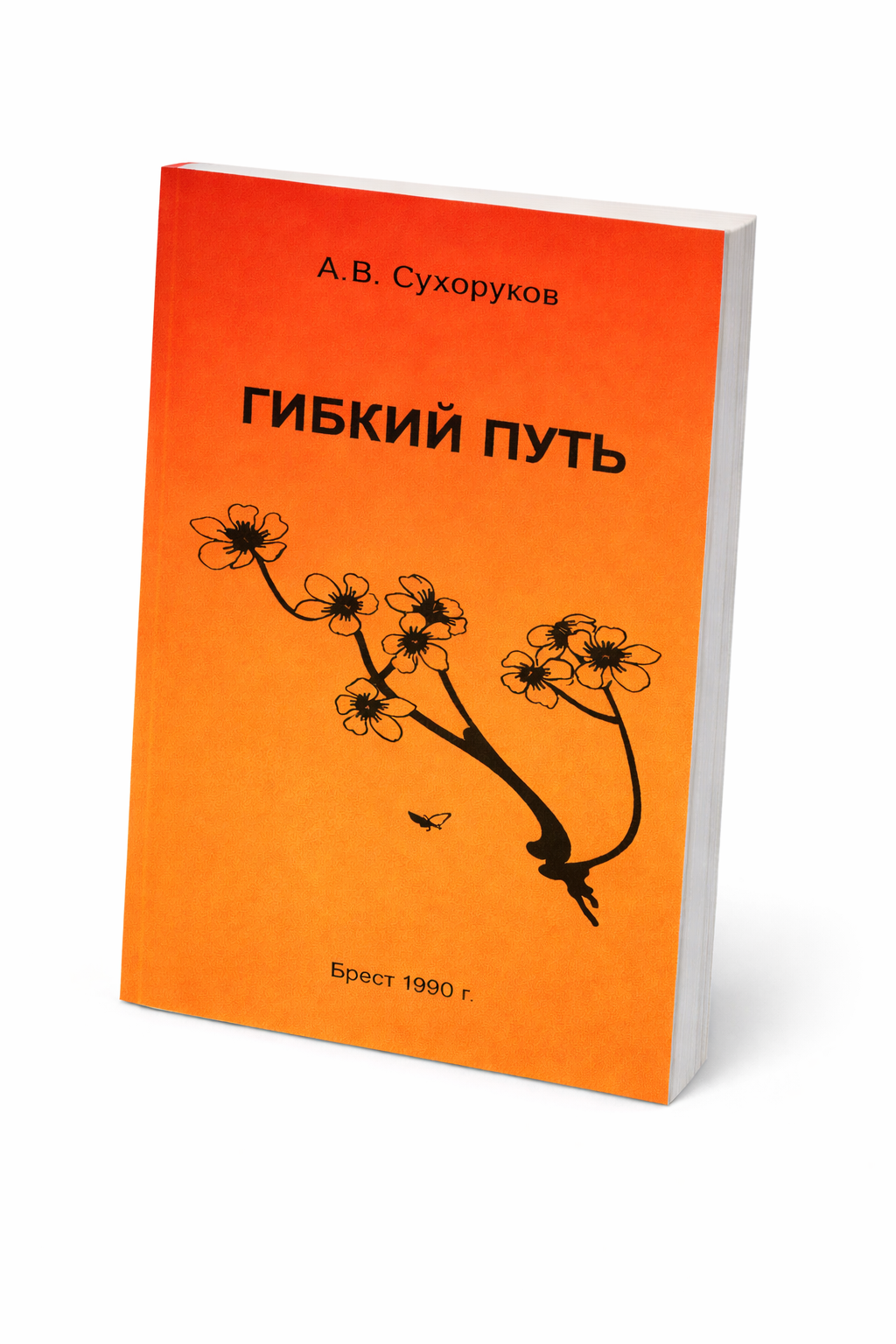 Первая книга А.В.Сухорукова "Гибкий Путь"