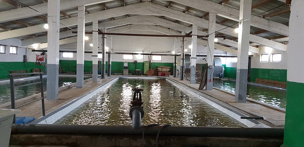 Кизанский ОРЗ7.jpg