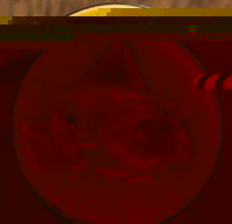 Файл:Лёгкий флирт (коктейль).jpg