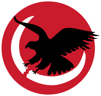 IAF Squadron 109.png