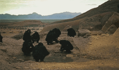 Кубрик Одиссея Стереопара 1.gif