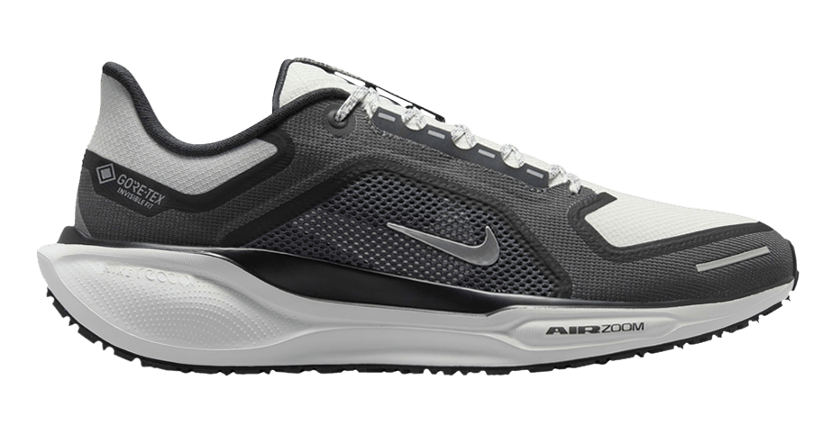 Nike Pegasus 41 Gore-Tex.png
