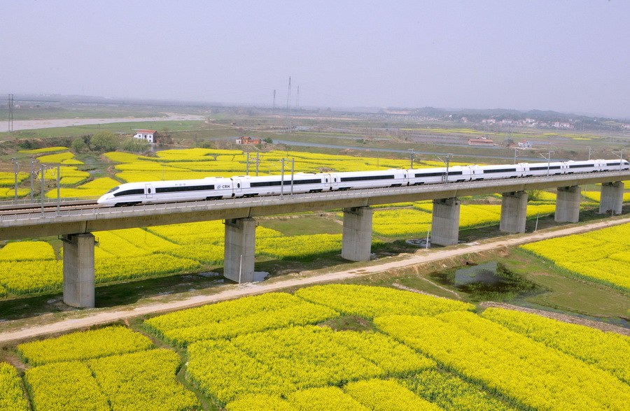 Скоростной поезд едет над полями
