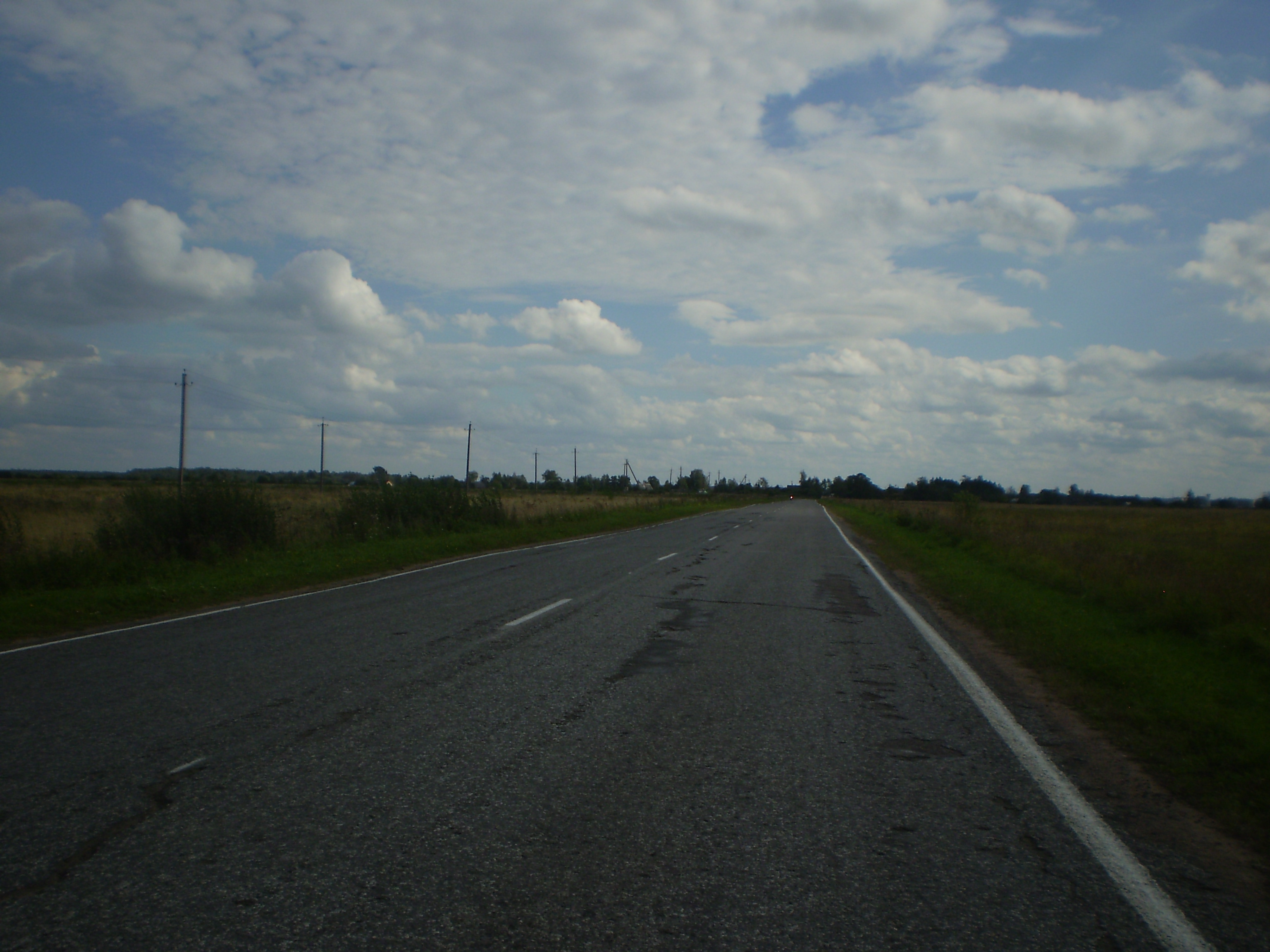 Дорога у дер. Сырковицы.