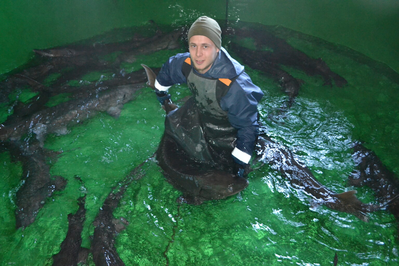 На Белоярском заводе