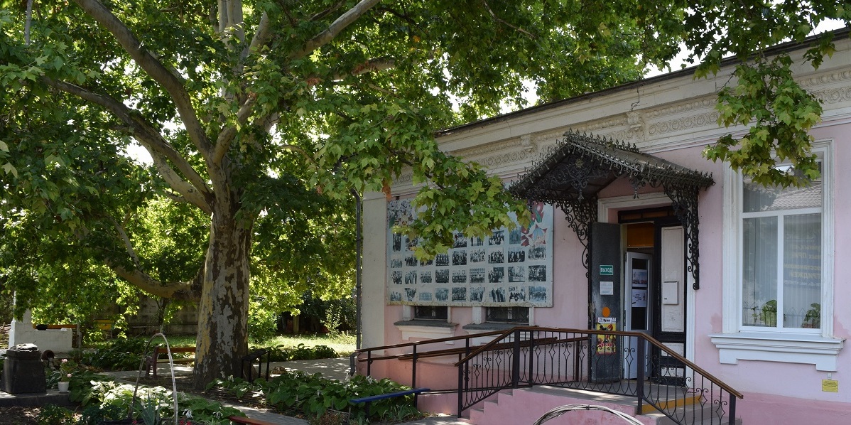 Платан клёнолистный, посаженный в 1912 году. Двор Брюховецкого историко-краеведческого музея.