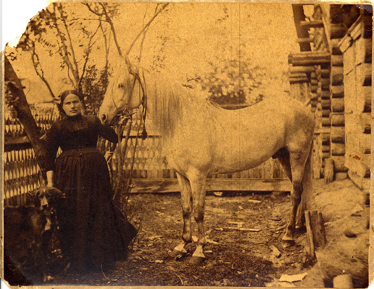 Анна Феоктистовна Соковнина