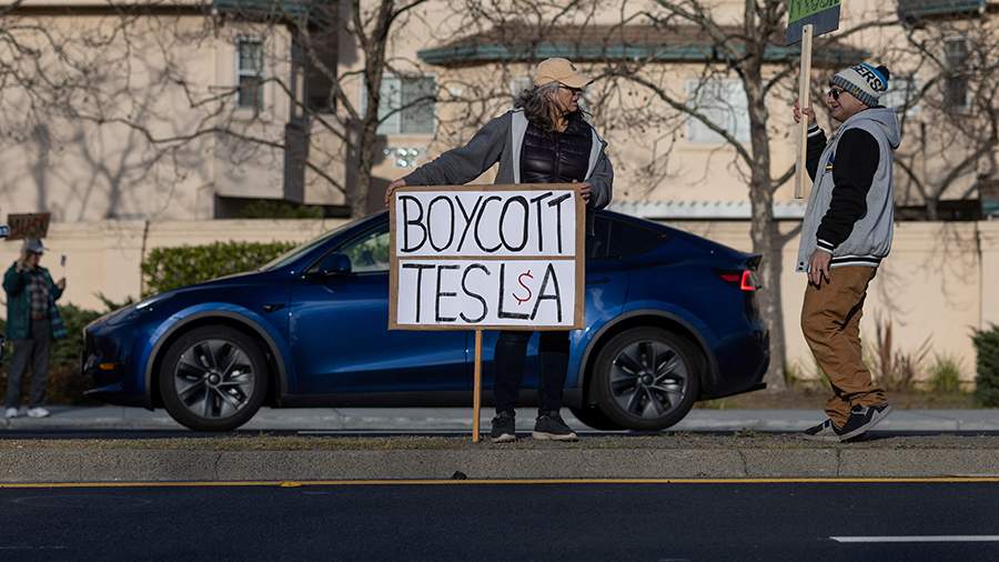 Файл:Протесты против Теслы.jpg