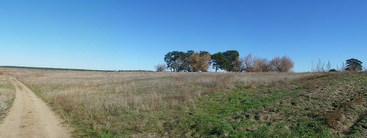 Хутор Тарасов Даниловский район