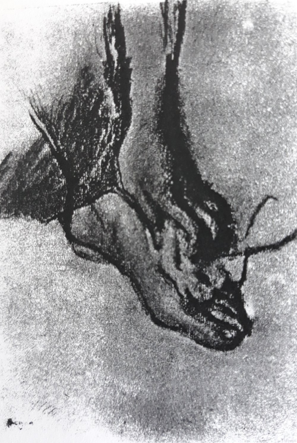 Etude de pied 673.jpg