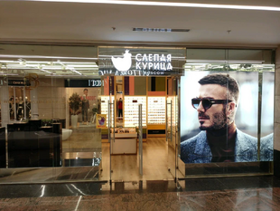 Слепая курица оптика.webp