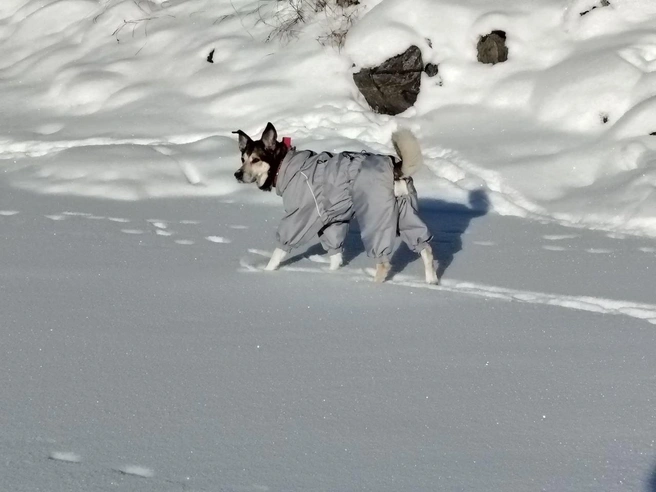 Файл:Erwin Klimakov.webp