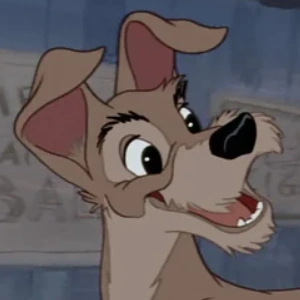 Файл:Леди и Бродяга -- Бродяга.webp